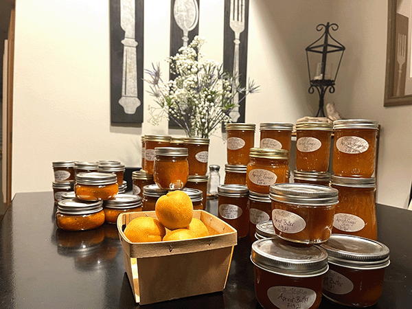 Apricot Orange Jam